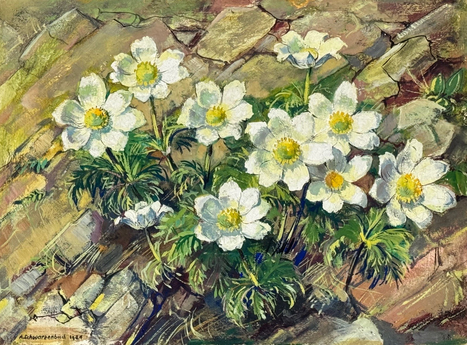 Schwarzenbach Armin, «Anemonen» 846