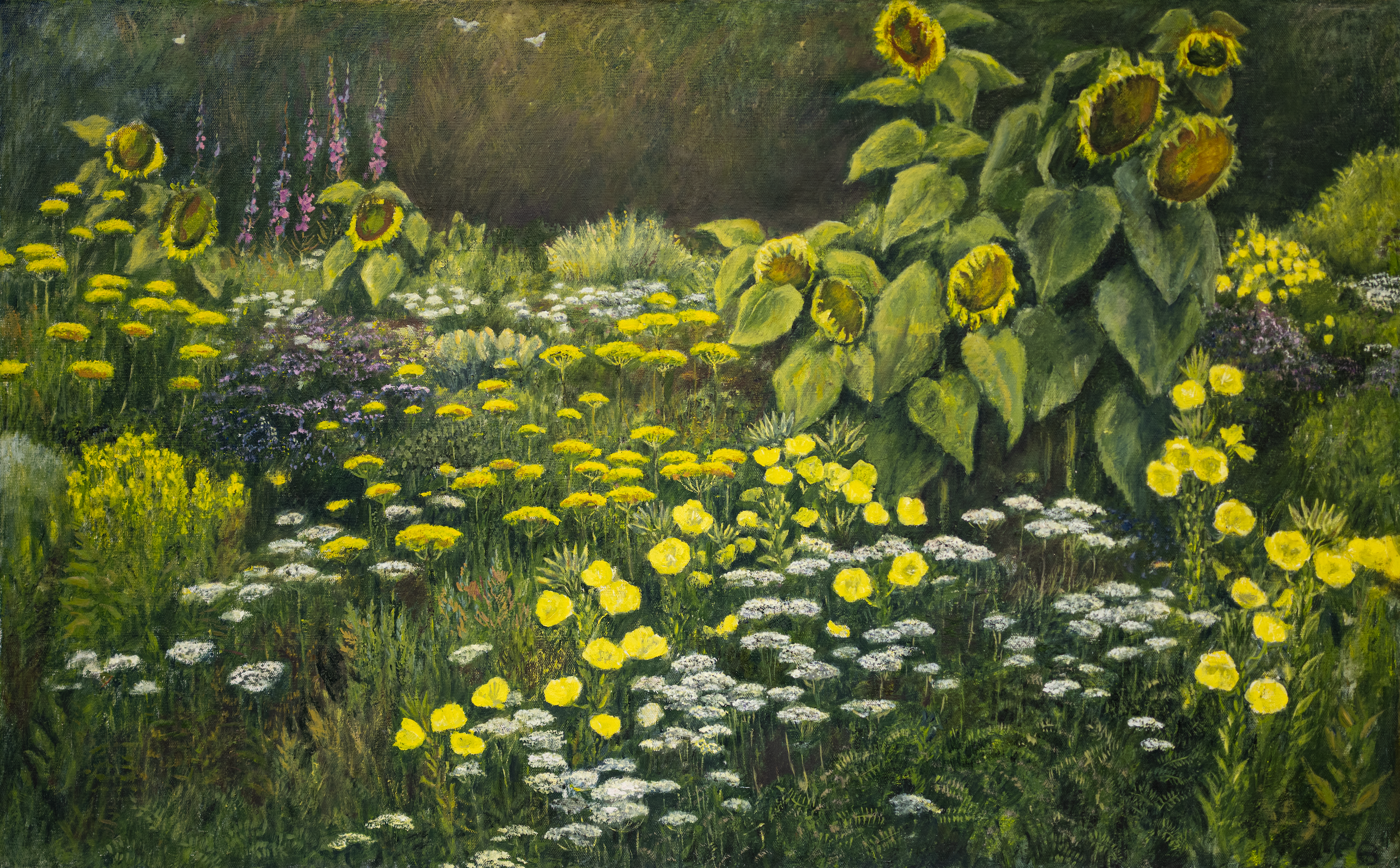 Bergmann Peter, Sonnenblumen in der Nacht, 1149