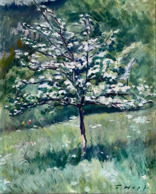 Hopf Friedrich, «Blühender Baum» 434, (bereits verkauft)